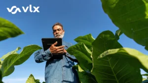 Significance of Working Offline